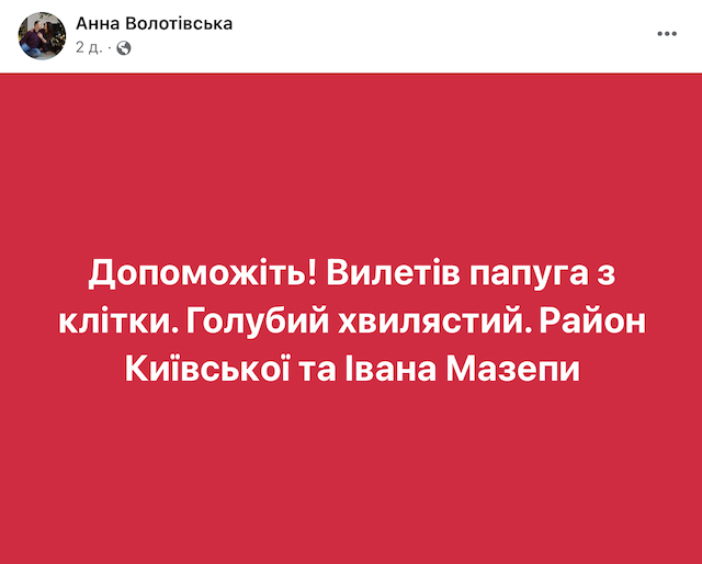 У Житомирі третій день розшукують папугу, який вилетів з клітки У Житомирі третій день розшукують папугу, який вилетів з клітки