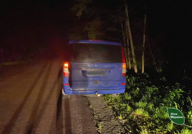 Неподалік Житомира Mercedes-Benz зіткнувся з лосем: тварина загинула. ФОТО Неподалік Житомира Mercedes-Benz зіткнувся з лосем: тварина загинула. ФОТО