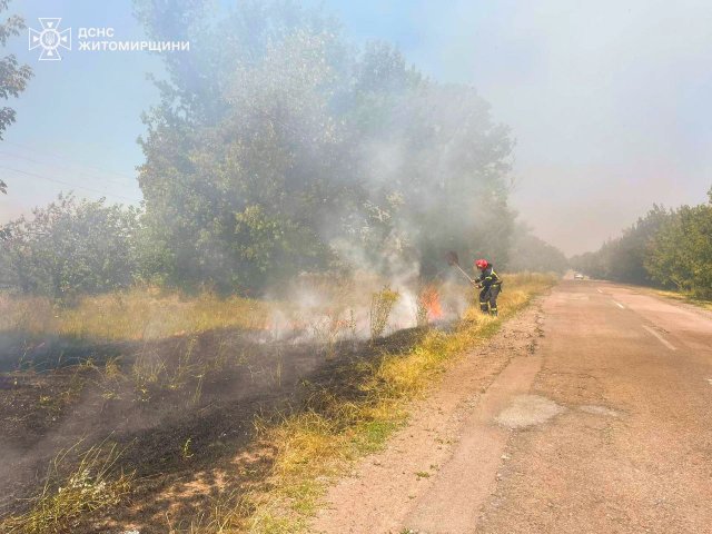 У Житомирській області на вихідних горіла суха трава на загальній площі понад 300 га У Житомирській області на вихідних горіла суха трава на загальній площі понад 300 га