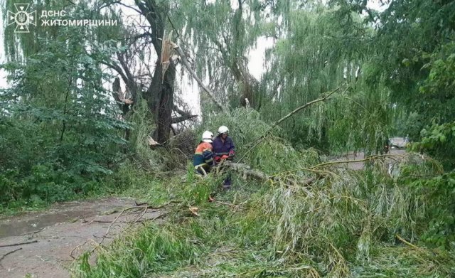 Через повалені на дорогу дерева на Житомирщині не міг рухатись автобус Через повалені на дорогу дерева на Житомирщині не міг рухатись автобус