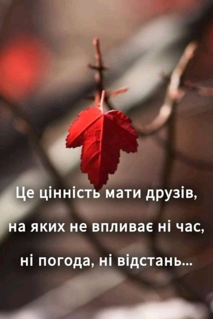 ПРАВДА ЖИТТЯ. Яких друзів цінність мати - Думка. Джерело: Zhitomir-OnLine ПРАВДА ЖИТТЯ. Яких друзів цінність мати - фото №