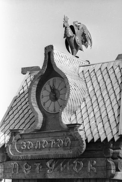 Житомир, колишній дитячий садок Житомир, колишній дитячий садок