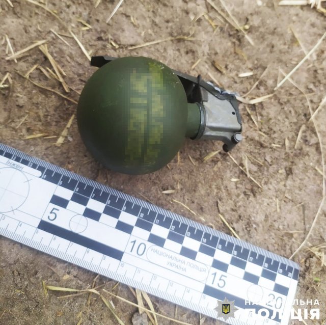У жителя Пулинської громади правоохоронці знайшли гранату. ФОТО