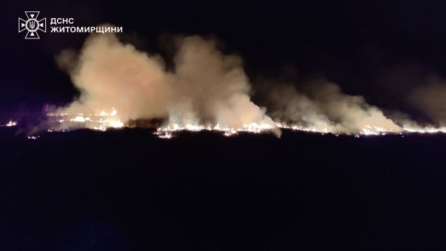 У двох районах Житомирщини рятувальники ліквідували пожежі в екосистемах
