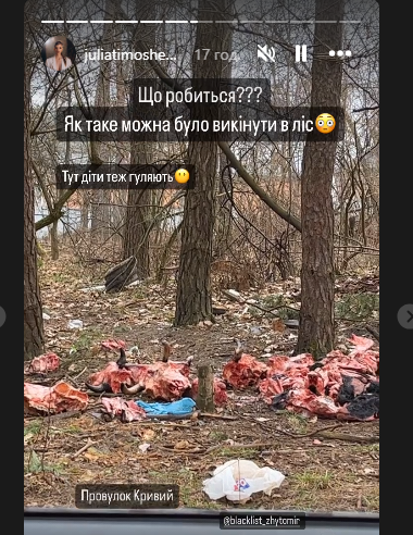 На околиці Житомира невідомі особи викинули рештки худоби На околиці Житомира невідомі особи викинули рештки худоби