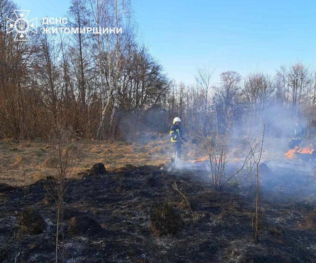 У селищі на Житомирщині жінка отримала опіки кінцівок, коли гасила сухостій