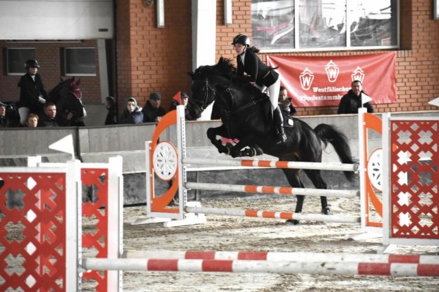 Члени збірної команди Житомирської області з кінного спорту показали гарні результати на змаганнях Члени збірної команди Житомирської області з кінного спорту показали гарні результати на змаганнях