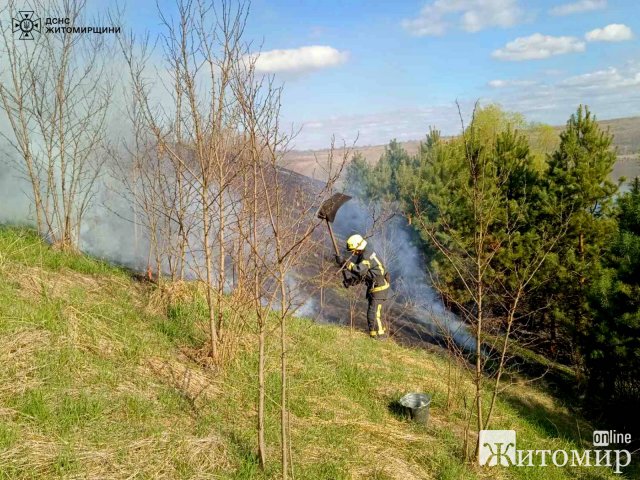 На території одного з сіл Бердичівського району рятувальники ліквідовували займання сухостою. ФОТО На території одного з сіл Бердичівського району рятувальники ліквідовували займання сухостою. ФОТО