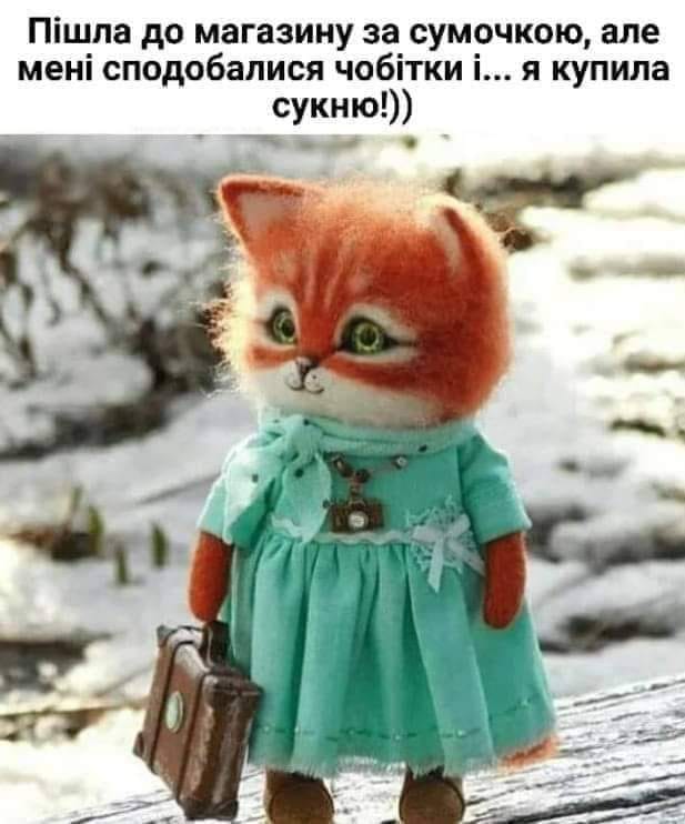 ПОСМІХНІТЬСЯ! За чим йшла в магазин, а що купила... - Україна. Джерело: Zhitomir-OnLine ПОСМІХНІТЬСЯ! За чим йшла в магазин, а що купила... - фото №
