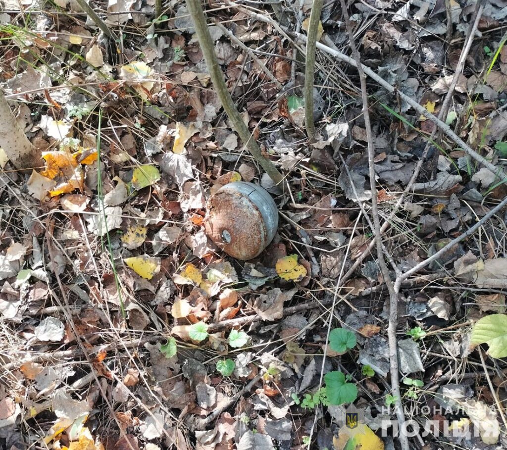 На Житомирщині вибухотехніки знищили касетні боєприпаси та частину ворожого БпЛА - Події. Джерело: Zhitomir-OnLine На Житомирщині вибухотехніки знищили касетні боєприпаси та частину ворожого БпЛА - фото №1