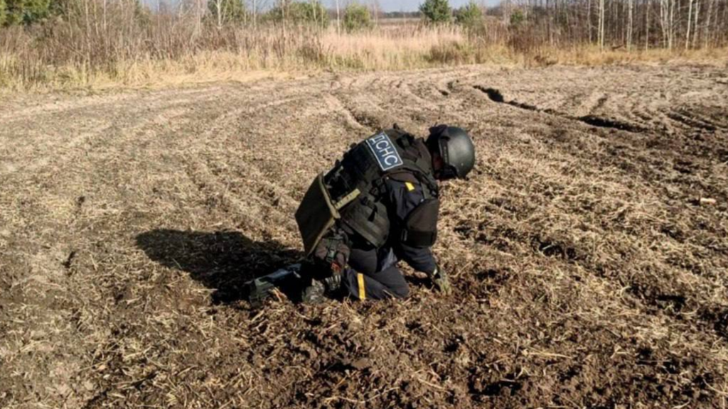 У Житомирському районі місцеві виявили 7 артснарядів - фото №