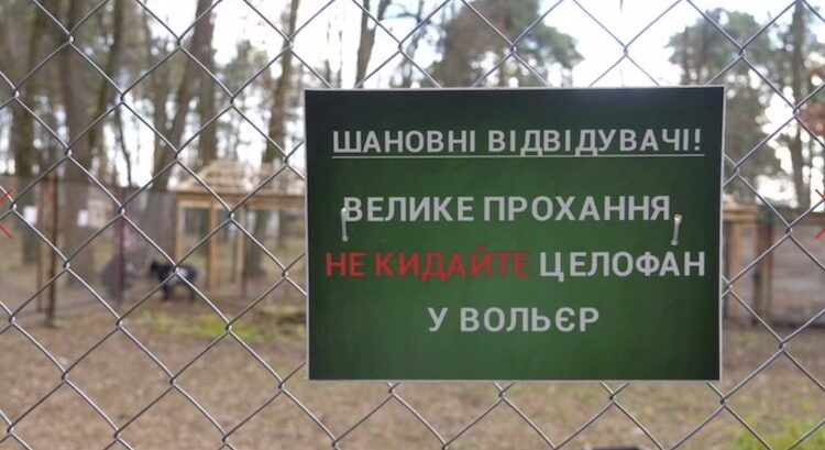 Готуємося до зими: як у житомирському гідропарку доглядають тварин - Події. Джерело: Zhitomir-OnLine Готуємося до зими: як у житомирському гідропарку доглядають тварин - фото №