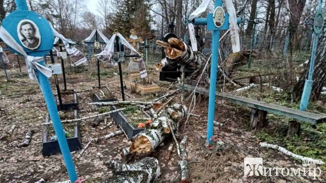 Через негоду на півночі Житомирщини дерева понівечили могили на кладовищі. ФОТО Через негоду на півночі Житомирщини дерева понівечили могили на кладовищі. ФОТО