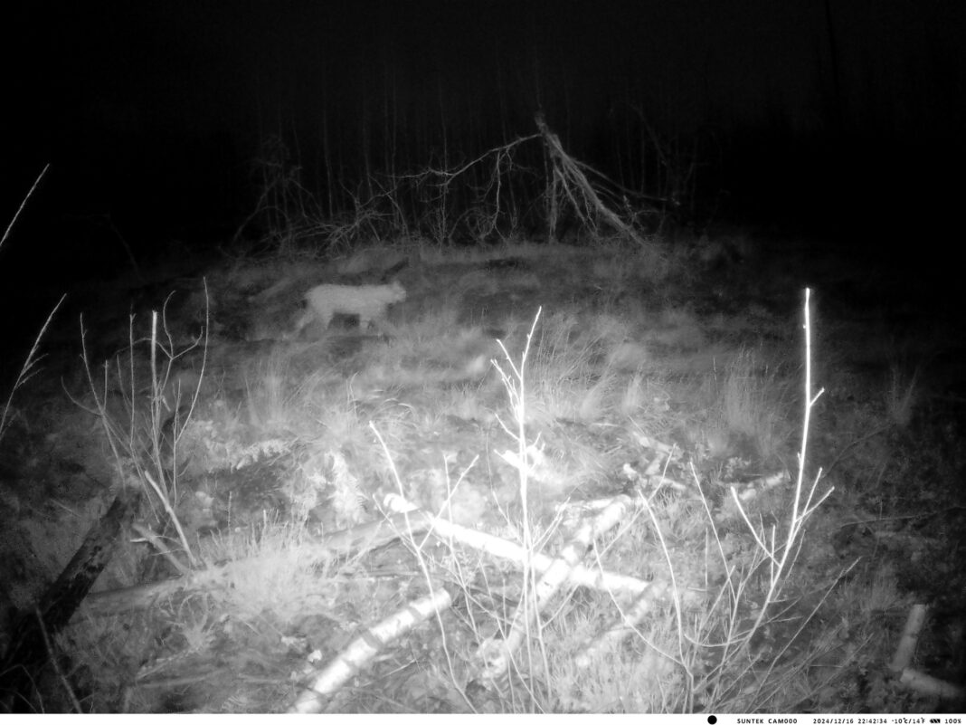VK CAMERA
