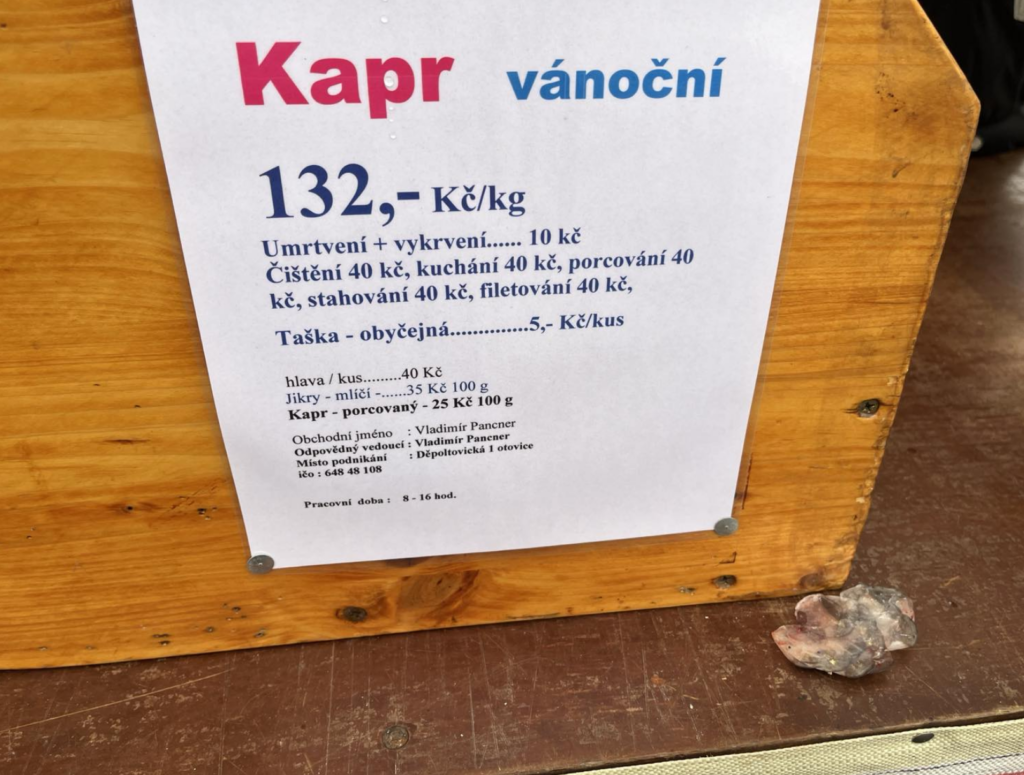 У чеському містечку Карлові Вари почали продавати живого коропа до різдвяного столу - Світ. Джерело: Zhitomir-OnLine У чеському містечку Карлові Вари почали продавати живого коропа до різдвяного столу - фото №2