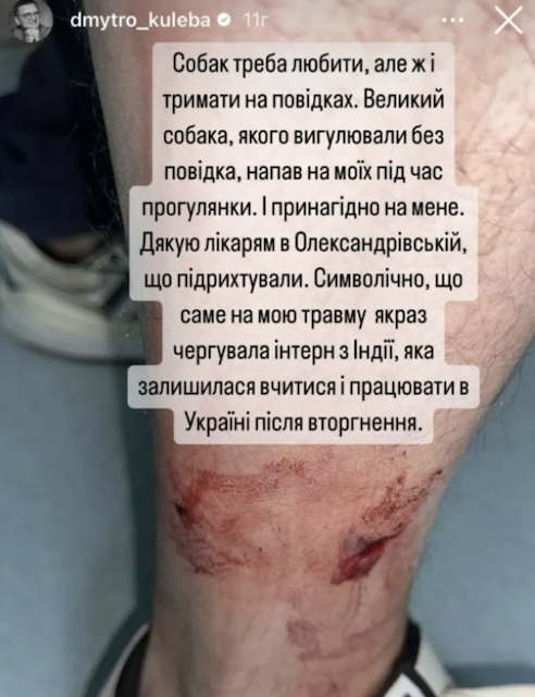 Міністра Кулебу у Києві покусав великий собака Міністра Кулебу у Києві покусав великий собака