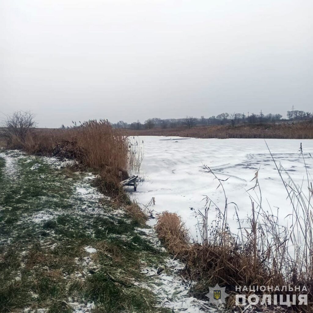 Кожне життя важливе: на Звягельщині поліцейський офіцер громади допоміг врятувати лебедя - фото №2