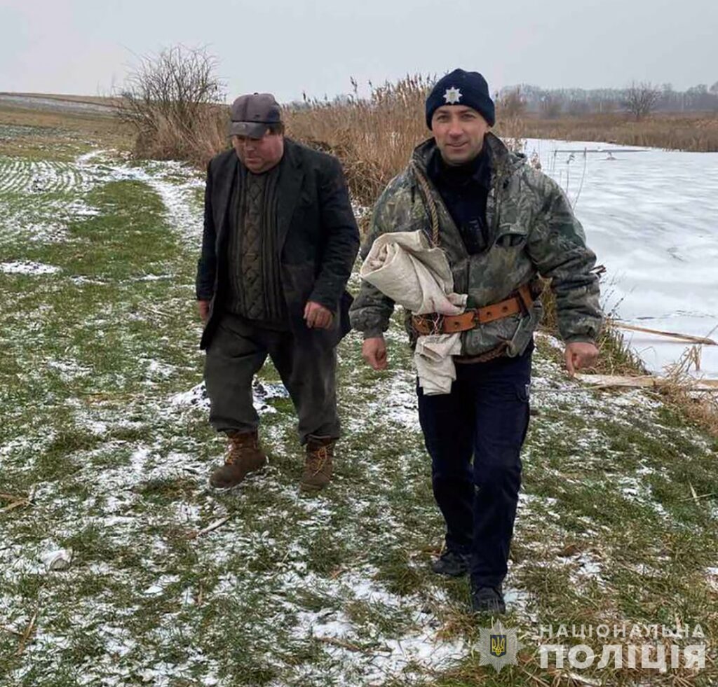 Кожне життя важливе: на Звягельщині поліцейський офіцер громади допоміг врятувати лебедя - фото №1