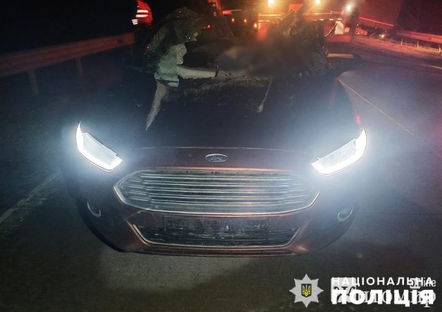 Подробиці автотрощі на трасі в Житомирській області: один водій загинув. ФОТО Подробиці автотрощі на трасі в Житомирській області: один водій загинув. ФОТО