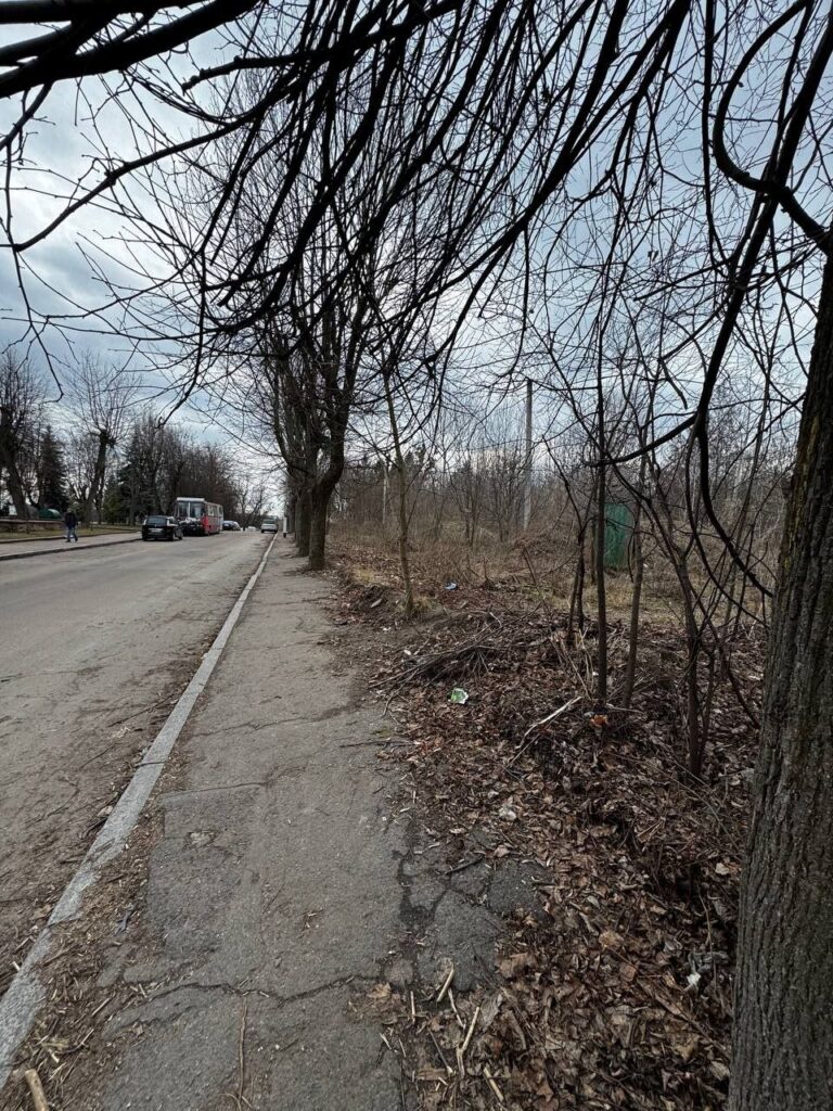 У Житомирі на Старому бульварі розібрали аварійну будівельну огорожу. ФОТО - фото №4
