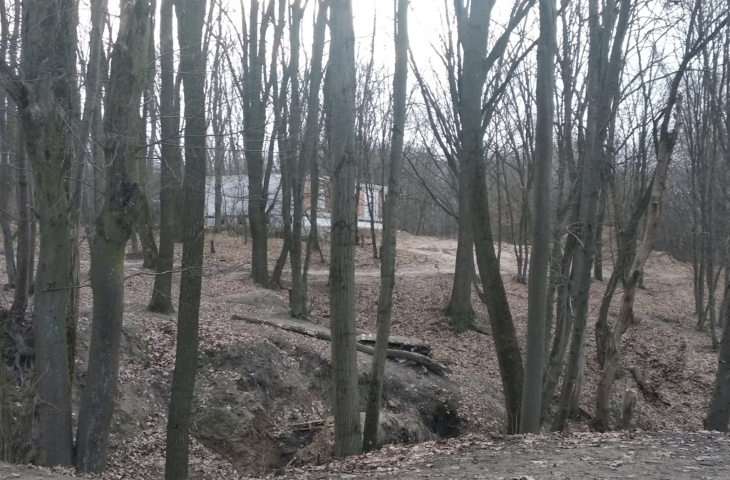 У Житомирі у парковій зоні зʼявляються нові приватні будинки - фото №1
