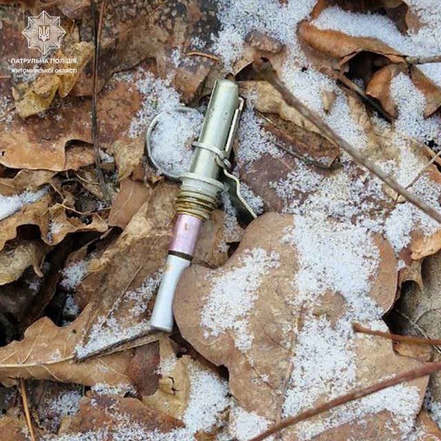 У лісосмузі на околиці Житомира виявили гранату та запалювач. ФОТО У лісосмузі на околиці Житомира виявили гранату та запалювач. ФОТО