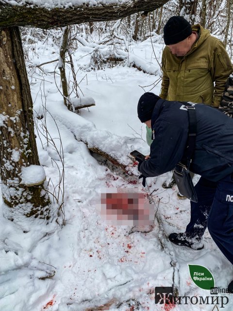 Біля одного з сіл Житомирщини виявили браконьєра з цифровим прицілом та обробленою тушею козулі. ФОТО Біля одного з сіл Житомирщини виявили браконьєра з цифровим прицілом та обробленою тушею козулі. ФОТО