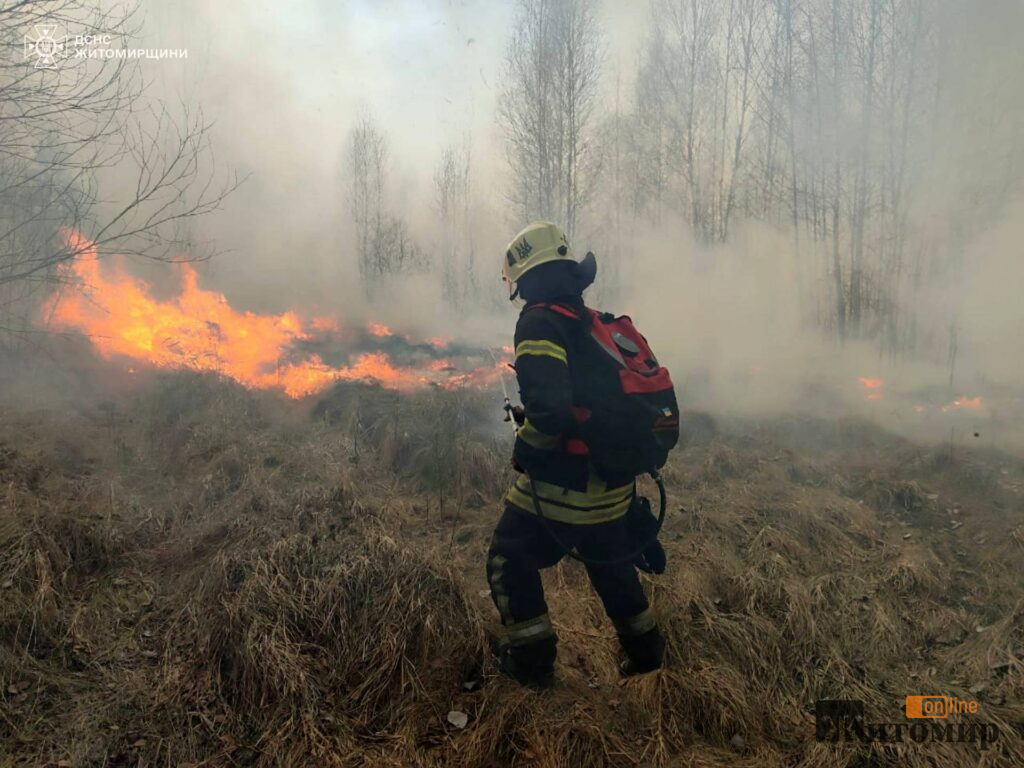 На півночі Житомирщини горіло 7 занедбаних споруд - Події. Джерело: Zhitomir-OnLine На півночі Житомирщини горіло 7 занедбаних споруд - фото №1