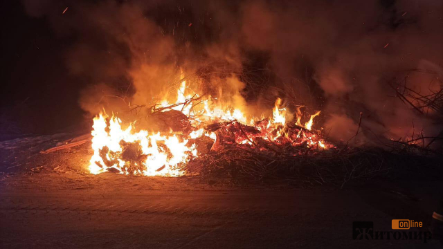 У Малині горіли сміттєві контейнери, в міськраді кажуть - один коштує 10 тис. грн - Події. Джерело: Zhitomir-OnLine У Малині горіли сміттєві контейнери, в міськраді кажуть - один коштує 10 тис. грн - фото №