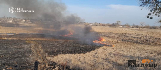 Поблизу одного з сіл Андрушівської громади рятувальники виявили тіло людини - Події. Джерело: Zhitomir-OnLine Поблизу одного з сіл Андрушівської громади рятувальники виявили тіло людини - фото №