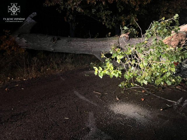 На Житомирщині вирувала негода: наслідки. ФОТО На Житомирщині вирувала негода: наслідки. ФОТО