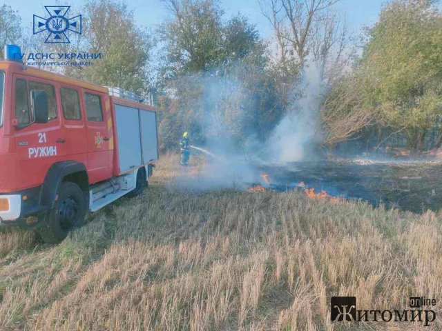 Минулої доби на Житомирщині горіла рослинність на площі близько 22 га. ФОТО