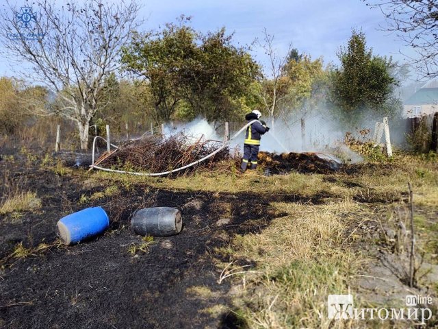 Минулої доби на Житомирщині сталося 16 загорянь сухої трави Минулої доби на Житомирщині сталося 16 загорянь сухої трави