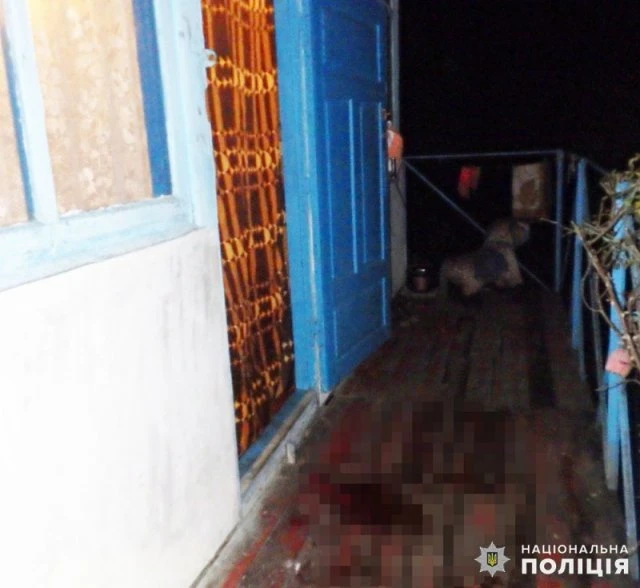 На Звягельщині жінка підрізала свого співмешканця. ФОТО