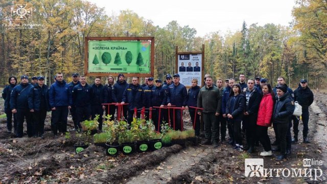 Житомирські рятувальники висадили 4 тисячі дерев в памʼять загиблих колег 