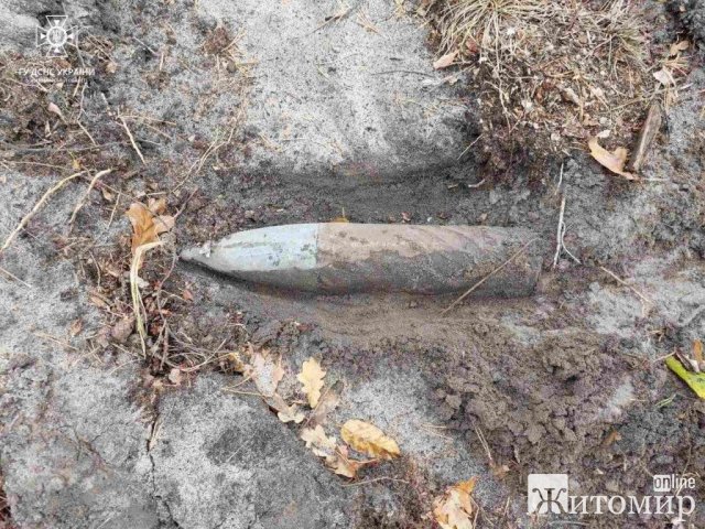 У селі Малинської громади чоловік натрапив на боєприпас часів минулих війн. ФОТО У селі Малинської громади чоловік натрапив на боєприпас часів минулих війн. ФОТО