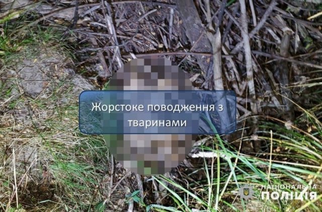 У Житомирській області чоловік знущався з пса, тіло викинув у канаву: свідки - діти