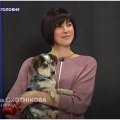 Сьогодні вранці у центрі Житомира темний мерседес ледь не зніс людину з собакою на переході Сьогодні вранці у центрі Житомира темний мерседес ледь не зніс людину з собакою на переході