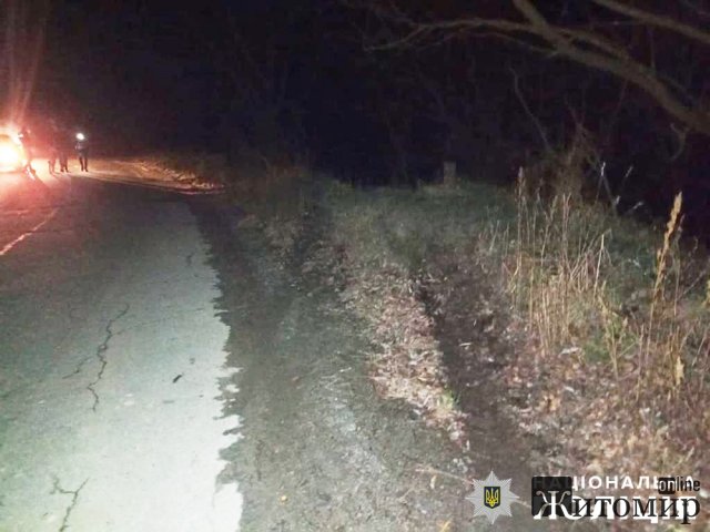 На Житомирщині дві жінки загинули в ДТП: двоє дітей у лікарні. ФОТО На Житомирщині дві жінки загинули в ДТП: двоє дітей у лікарні. ФОТО