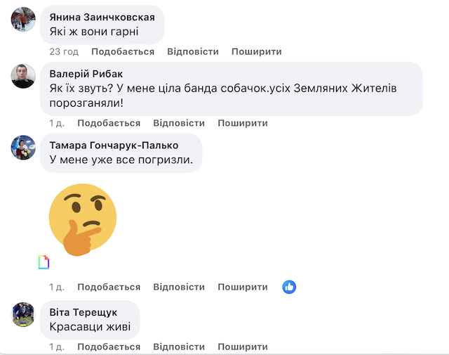 Маленький зоопарк у Кам`яному Броді. ФОТО Маленький зоопарк у Кам`яному Броді. ФОТО