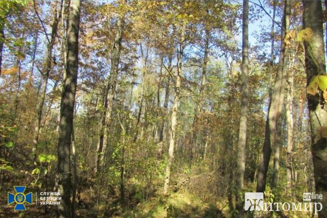 На Житомирщині судитимуть угрупування на чолі з екскерівником Держгеокадастру: викрили на привласненні земель