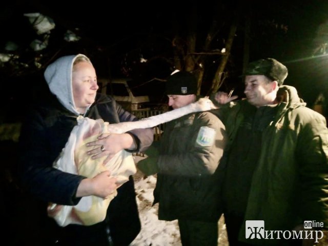 У селищі Житомирської області до приватного обійстя прийшов лебідь. ФОТО У селищі Житомирської області до приватного обійстя прийшов лебідь. ФОТО