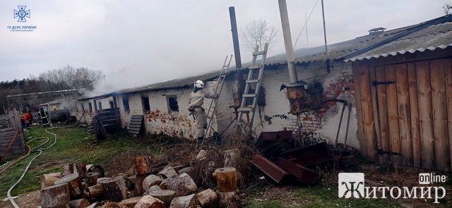 У селі Брусилівської громади горіла будівля тваринницької ферми. ФОТО У селі Брусилівської громади горіла будівля тваринницької ферми. ФОТО