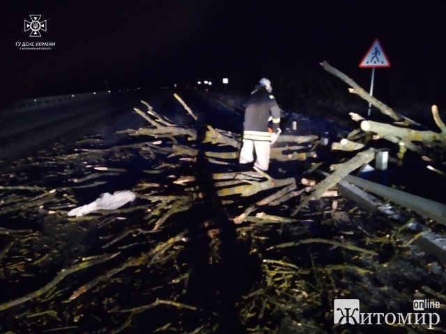 Через ожеледь рятувальники Житомирщини витягували з кюветів автомобілі. ФОТО Через ожеледь рятувальники Житомирщини витягували з кюветів автомобілі. ФОТО