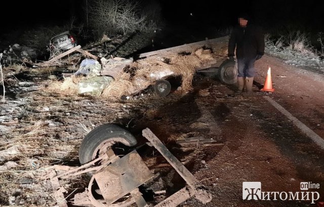 У селі Бердичівського району Nissan зіштовхнувся із гужовою повозкою: жінка та двоє дітей постраждали. Фото У селі Бердичівського району Nissan зіштовхнувся із гужовою повозкою: жінка та двоє дітей постраждали. Фото