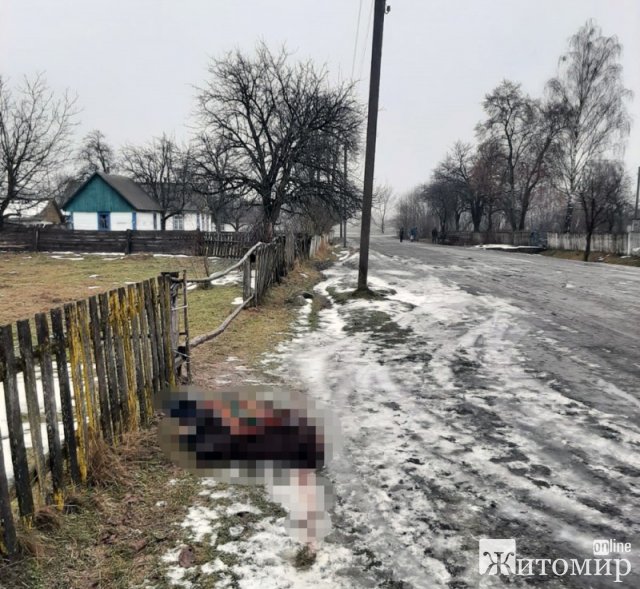 Біля паркану в одному з сіл Житомирської області жінка знайшла тіло 65-річного чоловіка з тілесними ушкодженнями. ФОТО