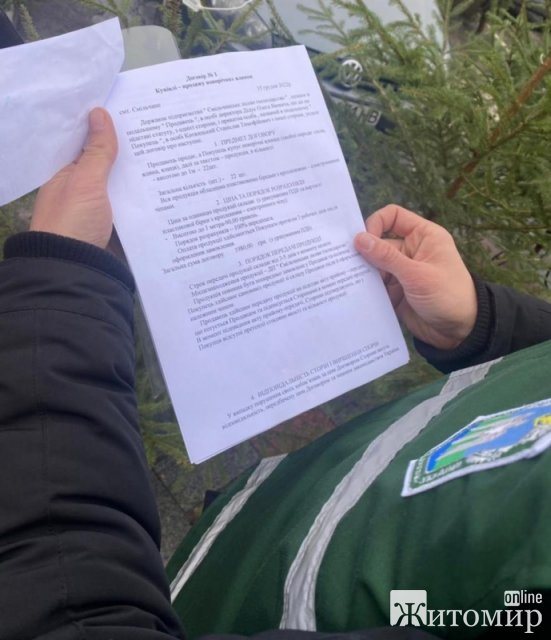 На Житомирщині тривають рейдові заходи контролю законності продажу хвойних дерев. ФОТО На Житомирщині тривають рейдові заходи контролю законності продажу хвойних дерев. ФОТО