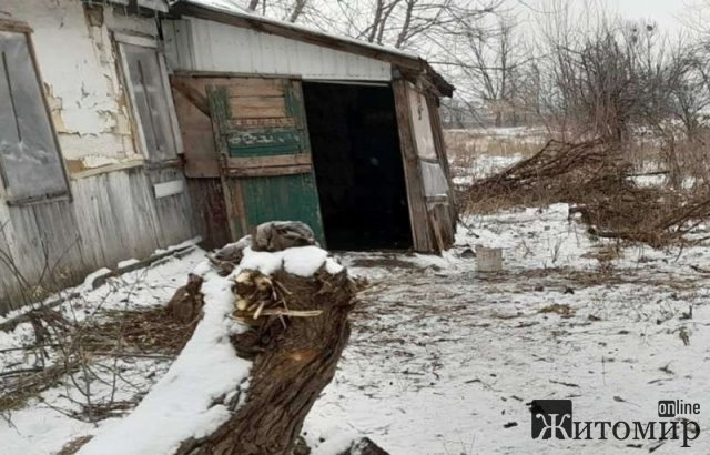 Під час свят у селі на Радомишльщині господар завдав обридлому «квартирантові» смертельних травм. ФОТО