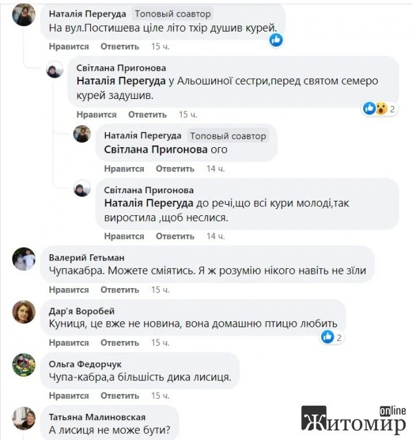 У селищі неподалік Житомира невідома істота перегризла горла у курей
