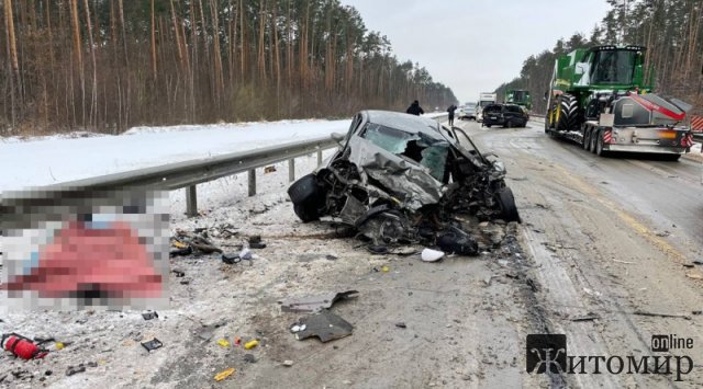 Поліцейські шукають свідків смертельної ДТП, яка сталась поблизу Житомира